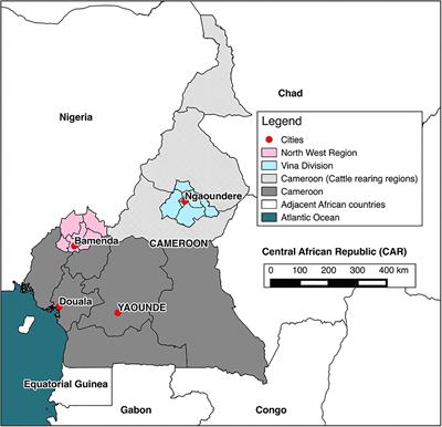 Bovine Tuberculosis Antemortem Diagnostic Test Agreement and Disagreement in a Naturally Infected African Cattle Population